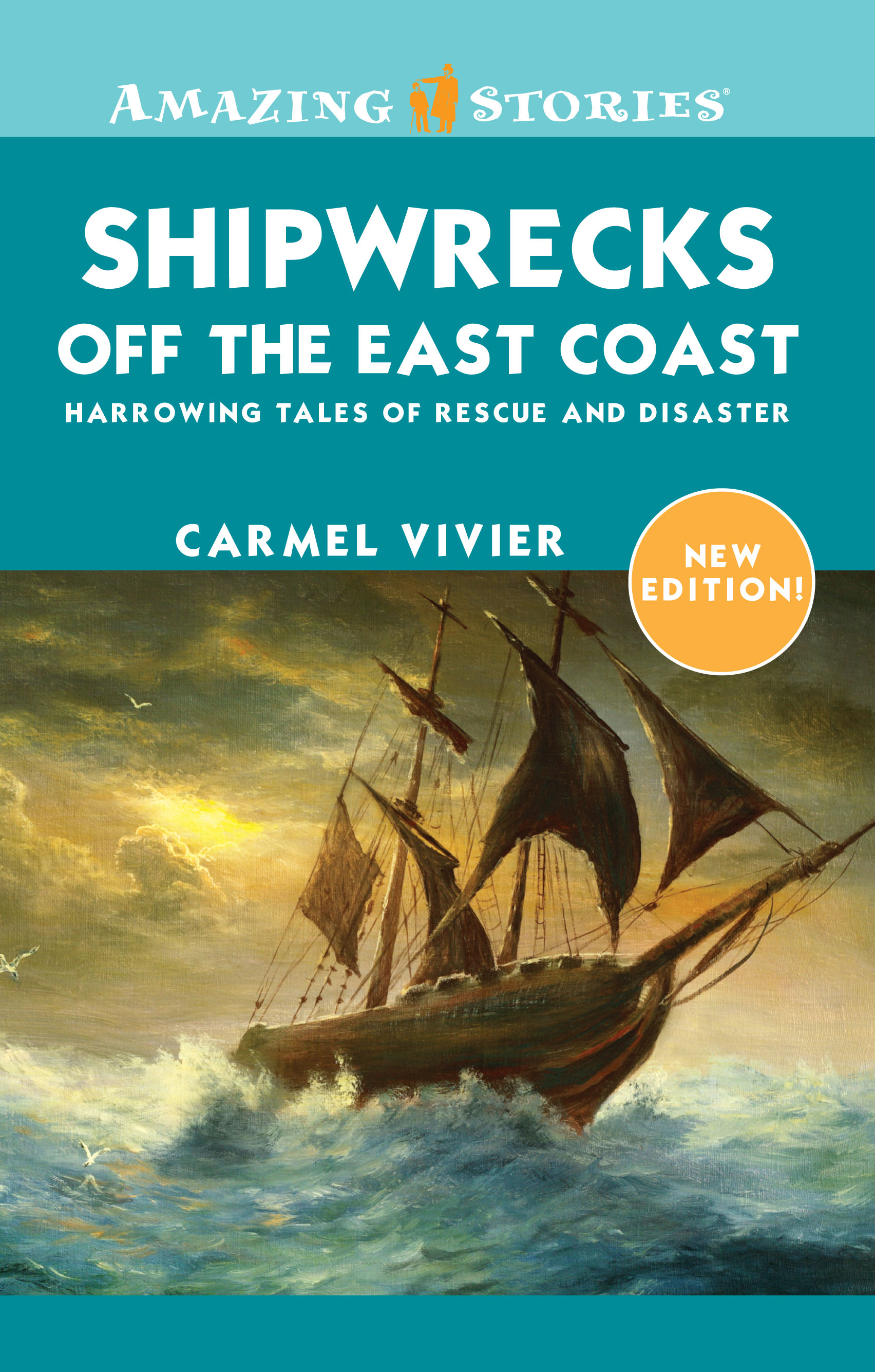 Title details for Shipwrecks off the East Coast by Carmel Vivier - Available